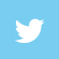 Twitter Icon