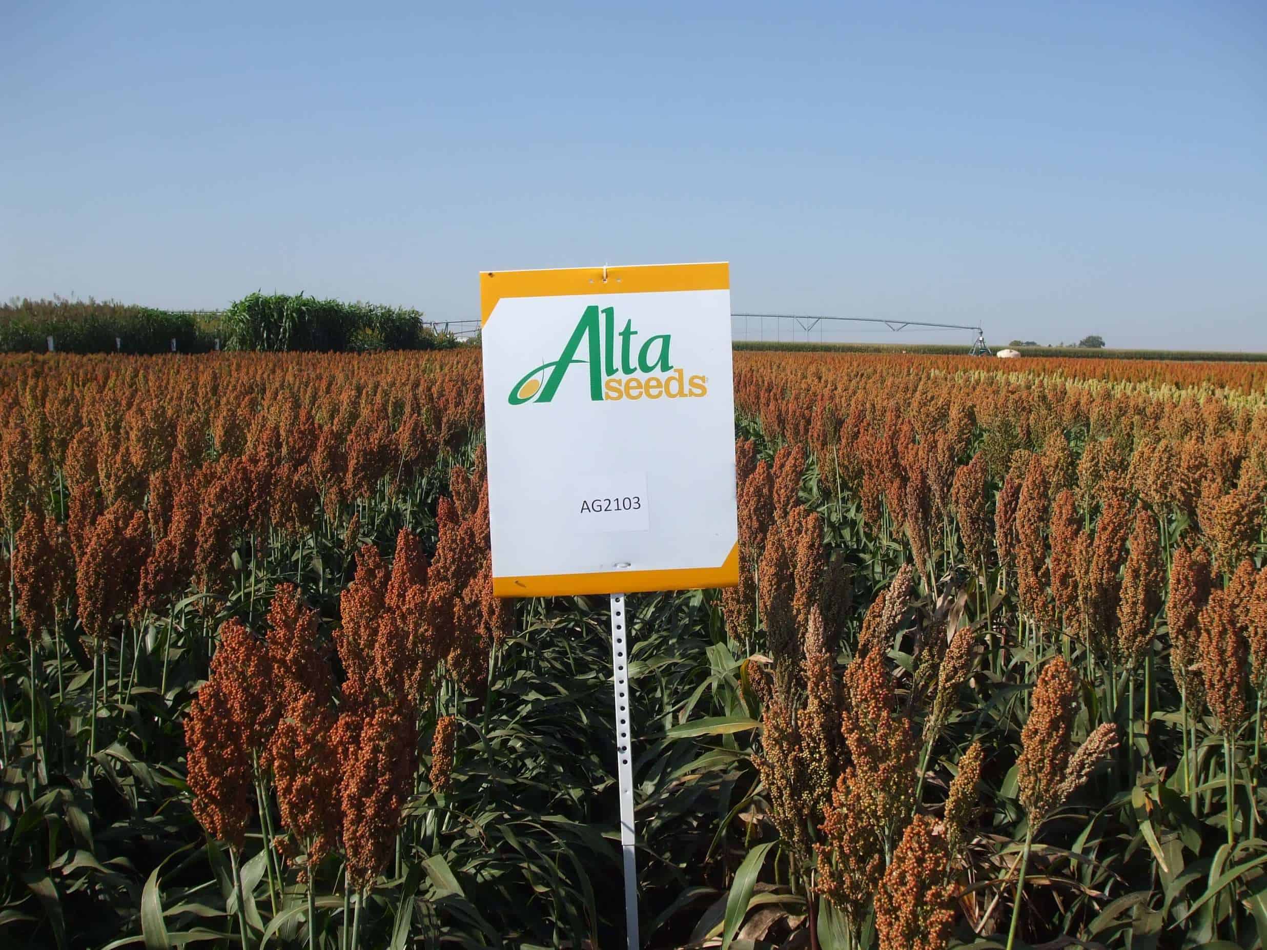 Sign next to crops