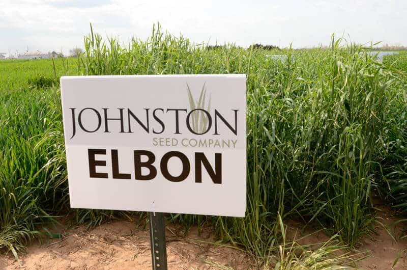 Sign next to Elbon plants