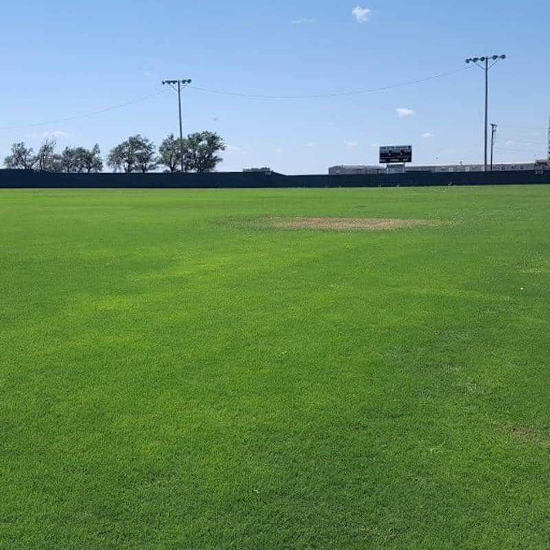 Jubilee Bermudagrass sports field