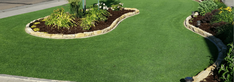 Riviera Bermudagr Johnston Seed Company Top 10 Lawn Mistakes