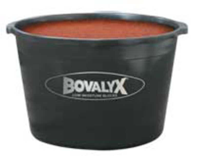 SWEETLIX BOVALYX EQUINE TUB Johnston Seed Company