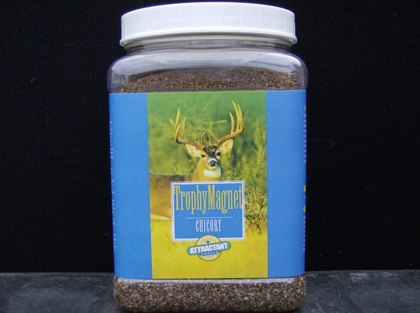 Bottle of chicory seeds