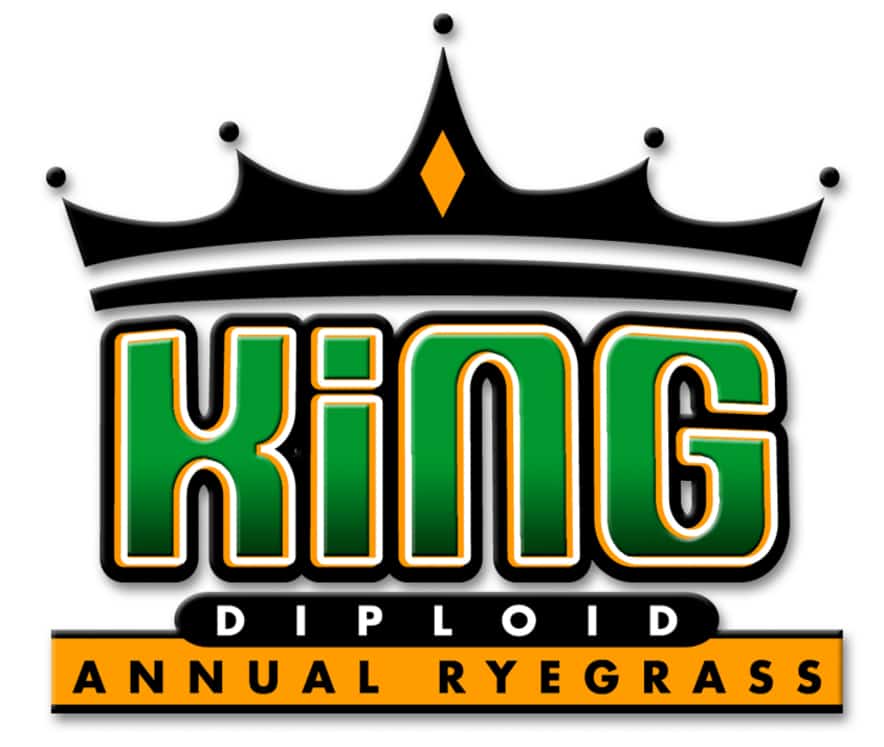 King annual ryegrass logo