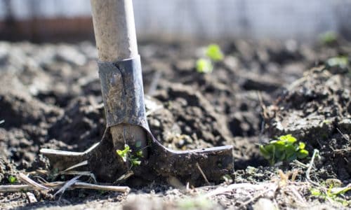 Shovel digging into soil