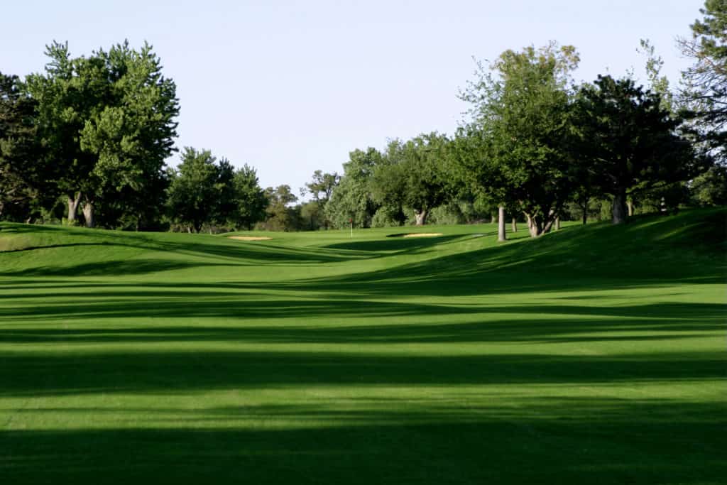 MONACO BERMUDAGRASS Johnston Seed Company