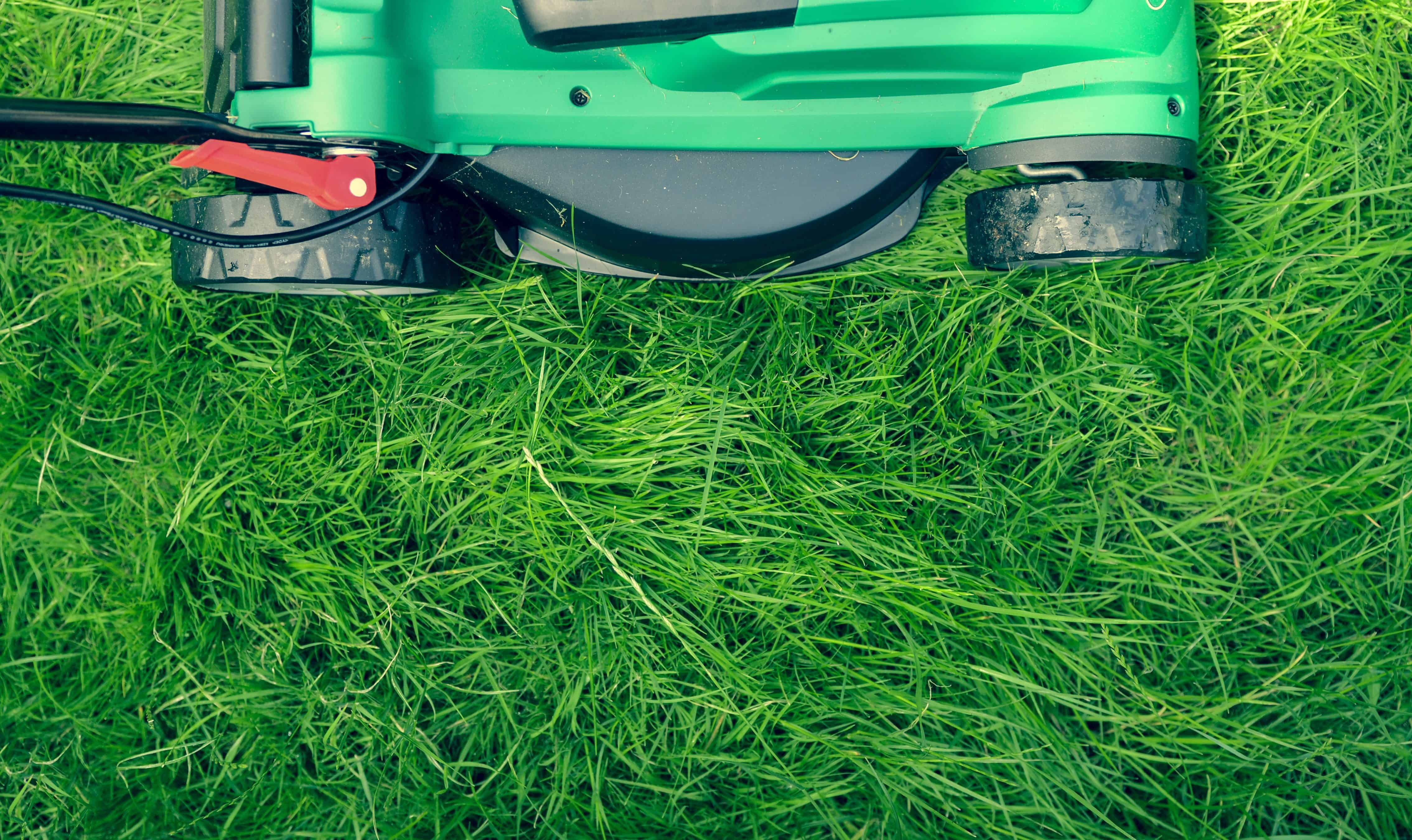 Mower cutting thick grass