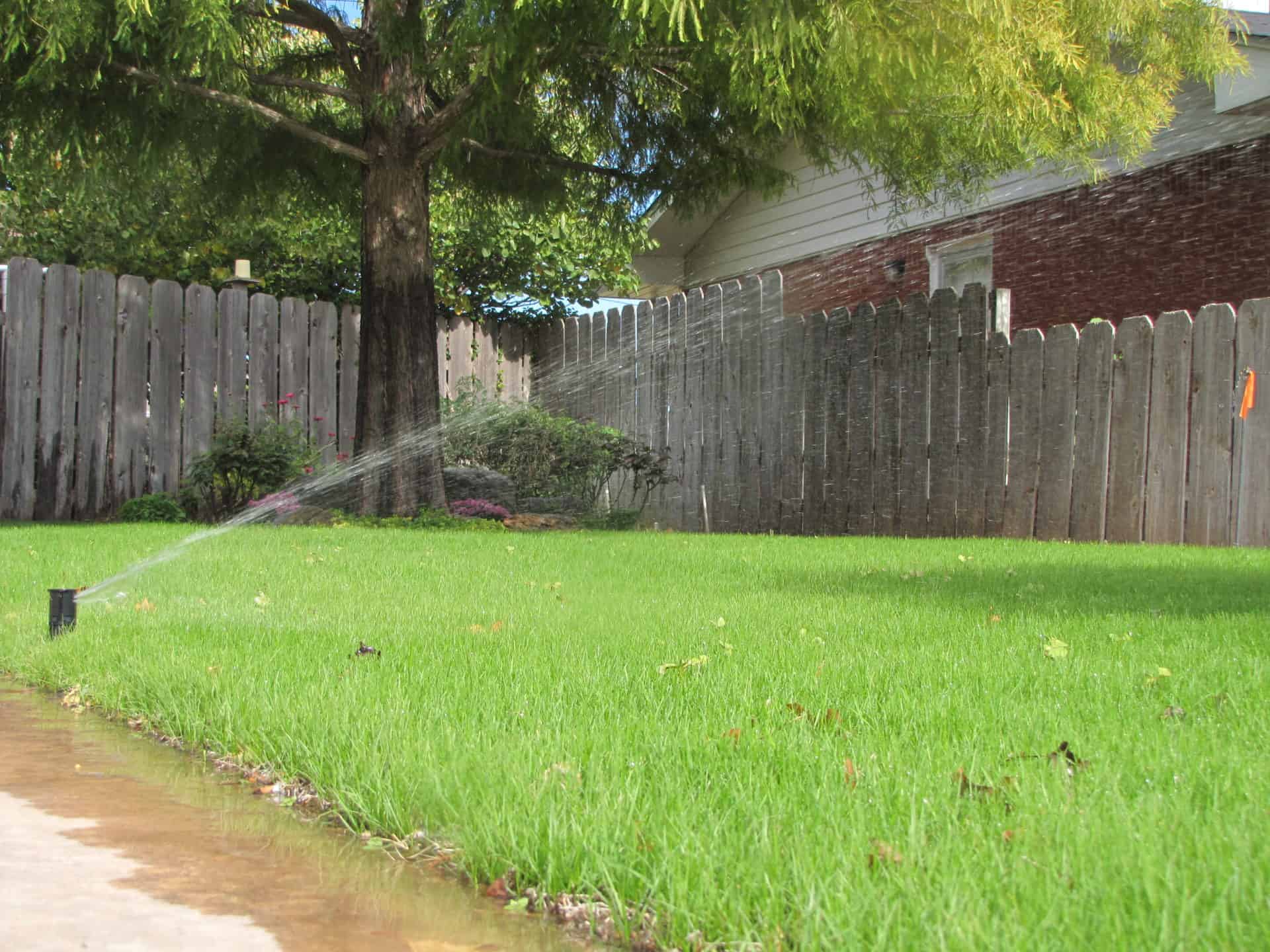 Grass being watered by in-ground sprinkler