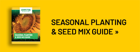 Seasonal Planting & Seed Mix Guide &raquo;