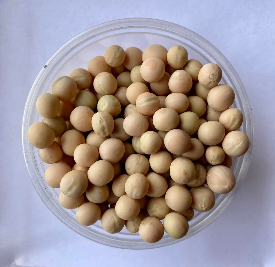 FROSTMASTER PEAS