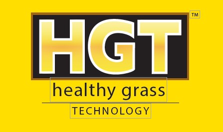 TURF BLUE HGT BLUEGRASS