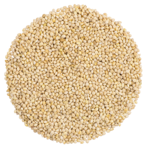 PROSO MILLET FOR BIRDS