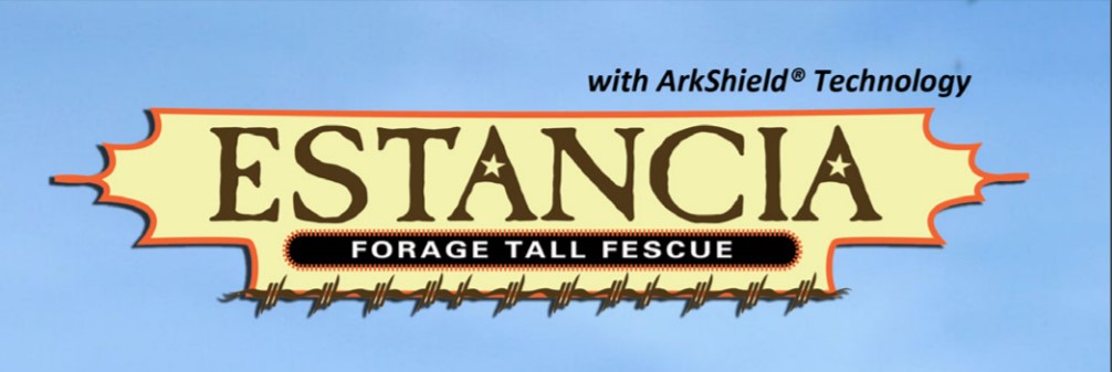 ESTANCIA FESCUE